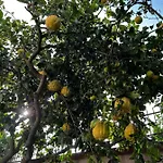 דירה La Casa Del Bosco - Two Floors Home